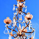 Grapefruit chandelier