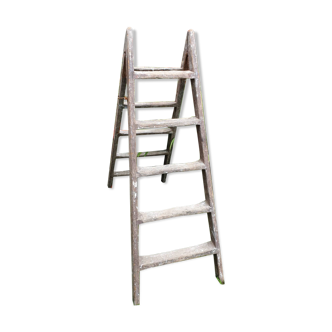 Authentic double stepladder