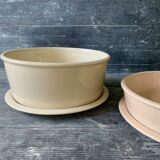 Saladiers and lids Jars Cantine