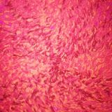Desso carpet 150x220cm