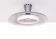 Philips pendant lamp Louis Kalff 1950s holland