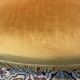 Velvet toad armchair