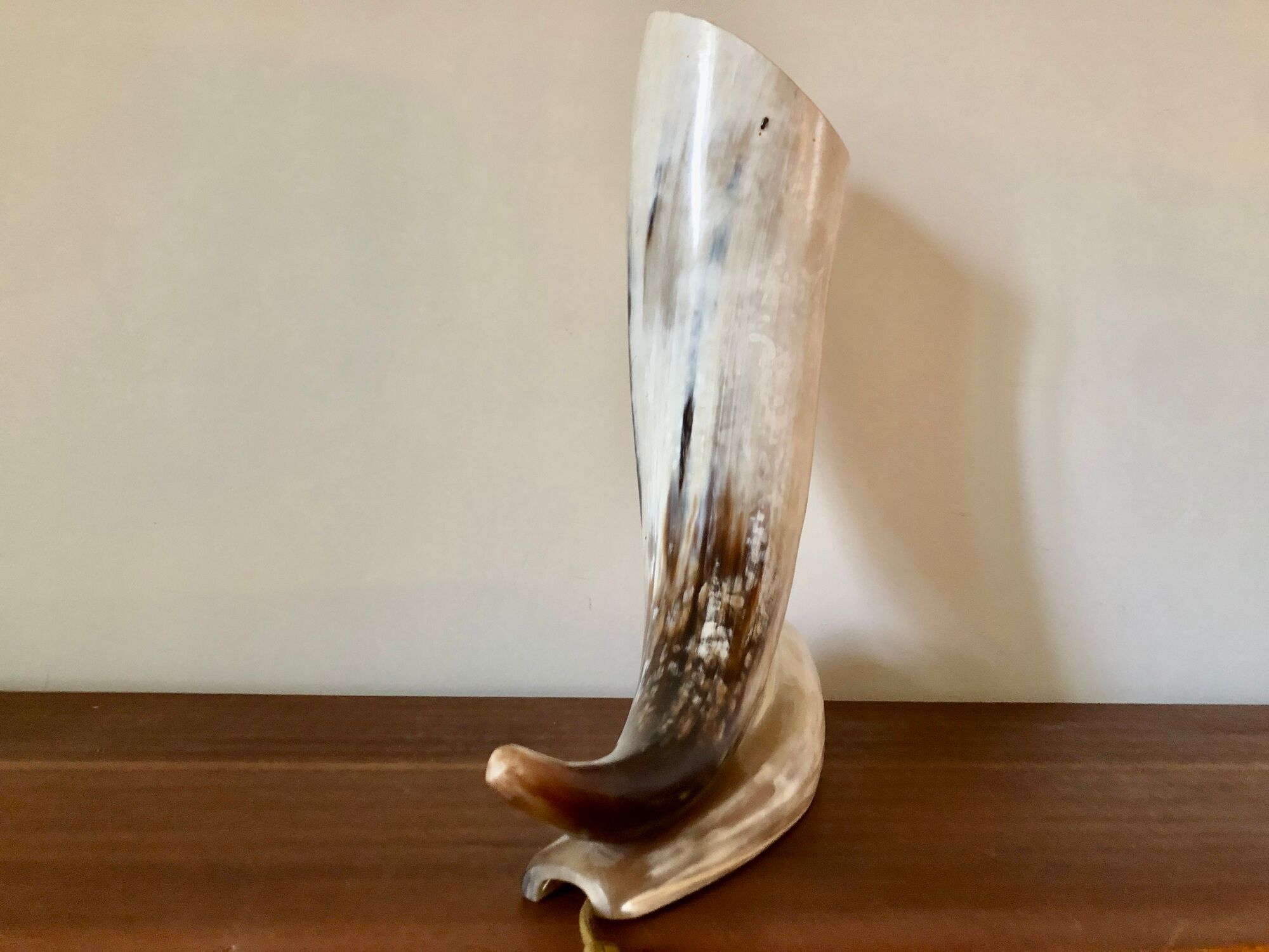 Grande lampe corne
