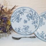 Set of 6 flat plates from the Gien earthenware factory, Fleurette model, iron earth