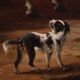 Great 18th century painting, pastoral scene with classical ruins