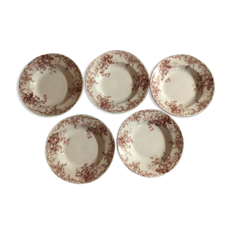 Lot of 5 hollow plates campanule iron earth