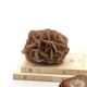 Natural brown sand rose, 1970s