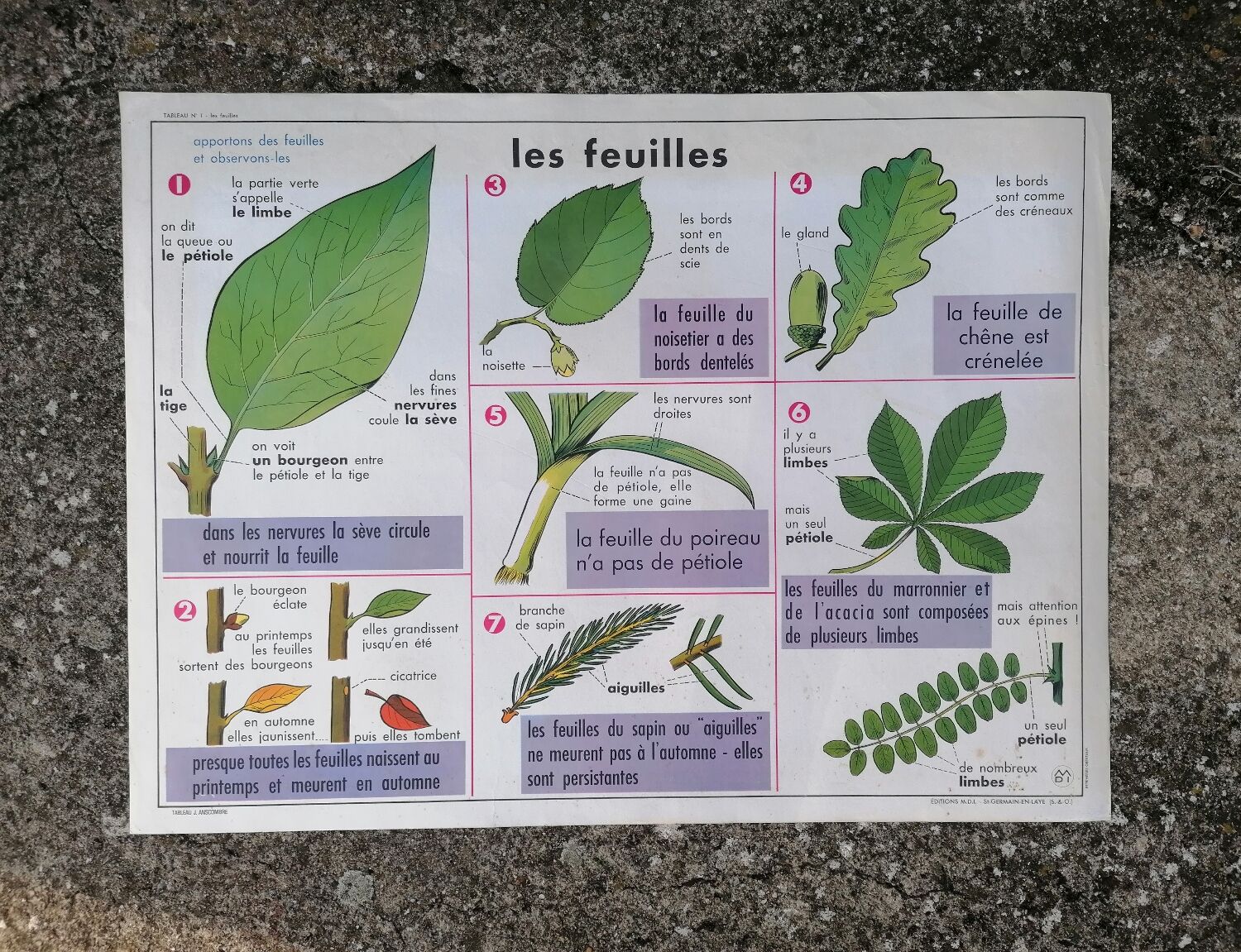 Old MDI poster "The leaves-The apple".