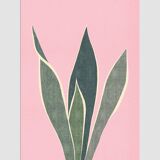 4 botanical art prints