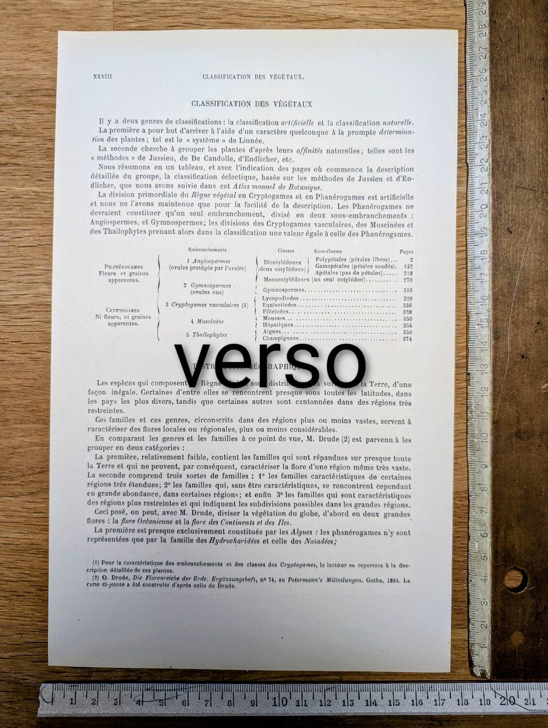 Printed in 1889, fruits and seeds. Antique botanical plate.