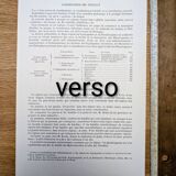 Printed in 1889, fruits and seeds. Antique botanical plate.