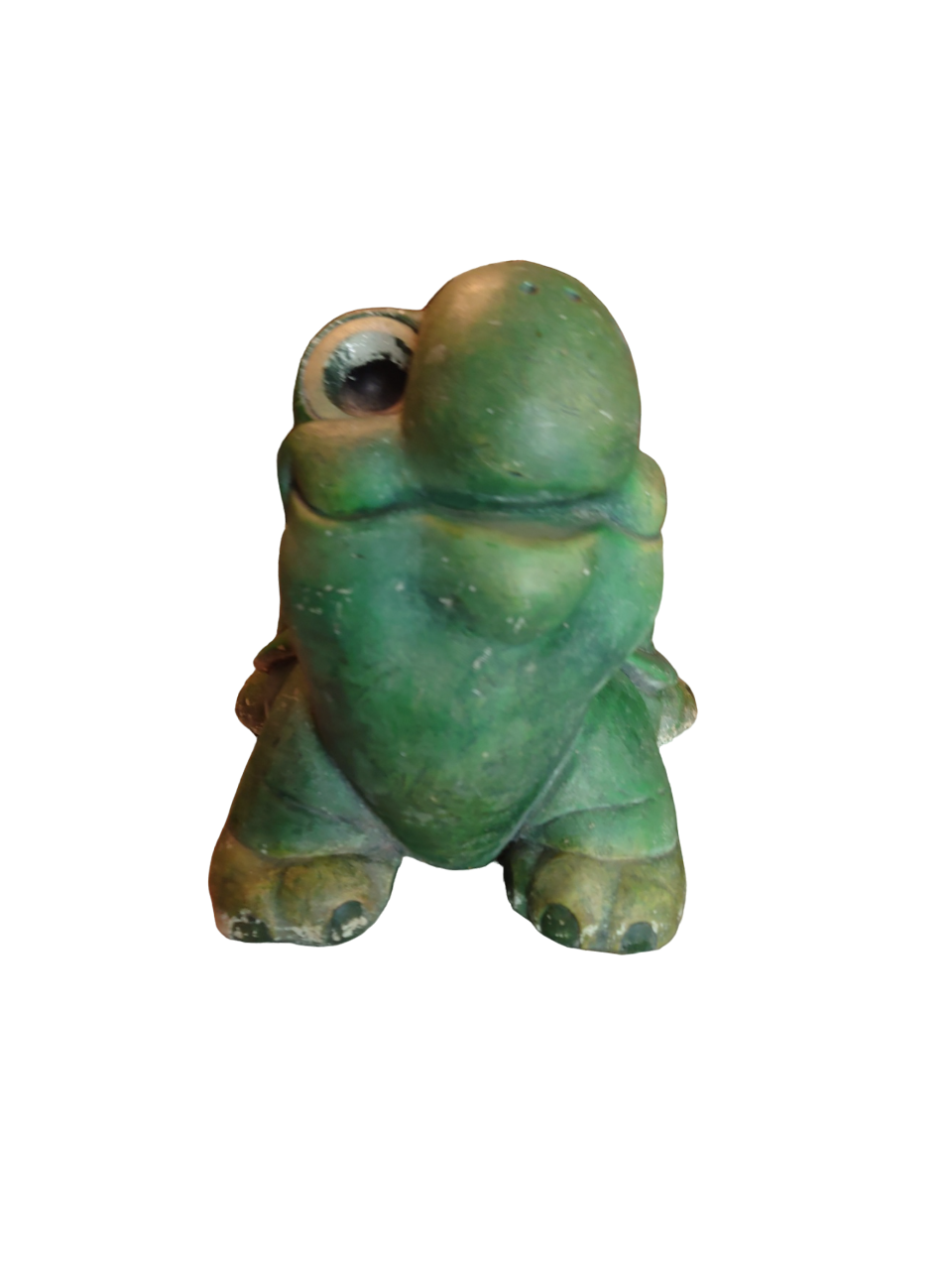 Green turtle in concrete