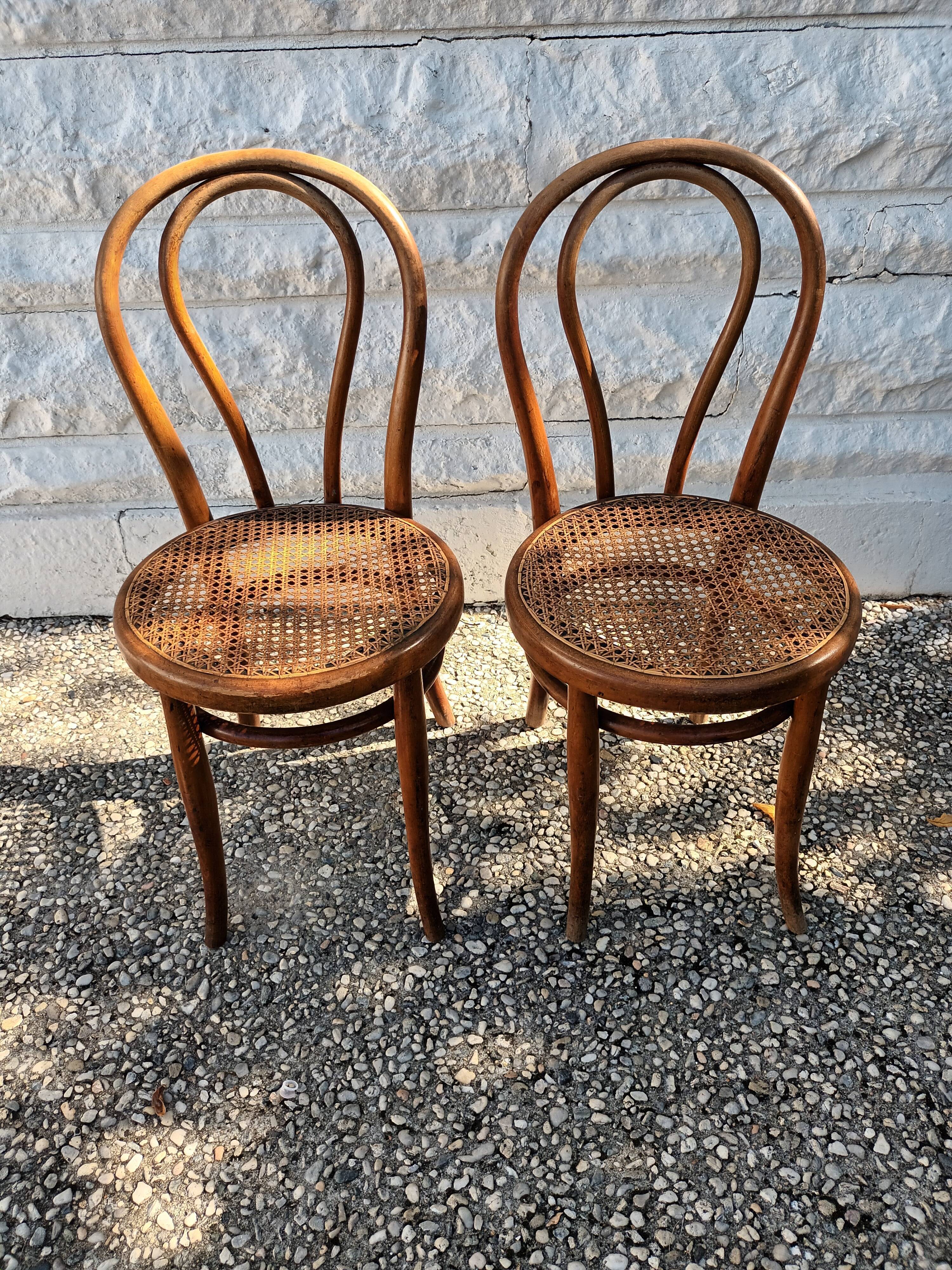 Canned chairs Thonet