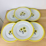Lot de 6 assiettes plates en faïence vintage