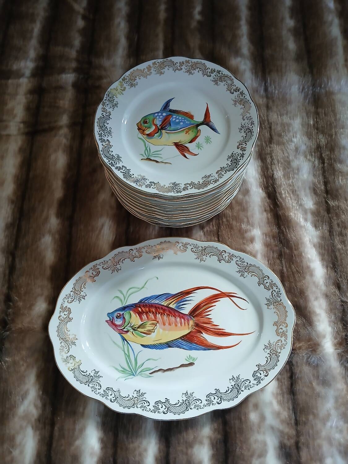 12 antique "Royal" dinner plates + 1 dish