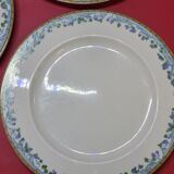 5 large flat plates guy degrenne model tuscany porcelain limoges