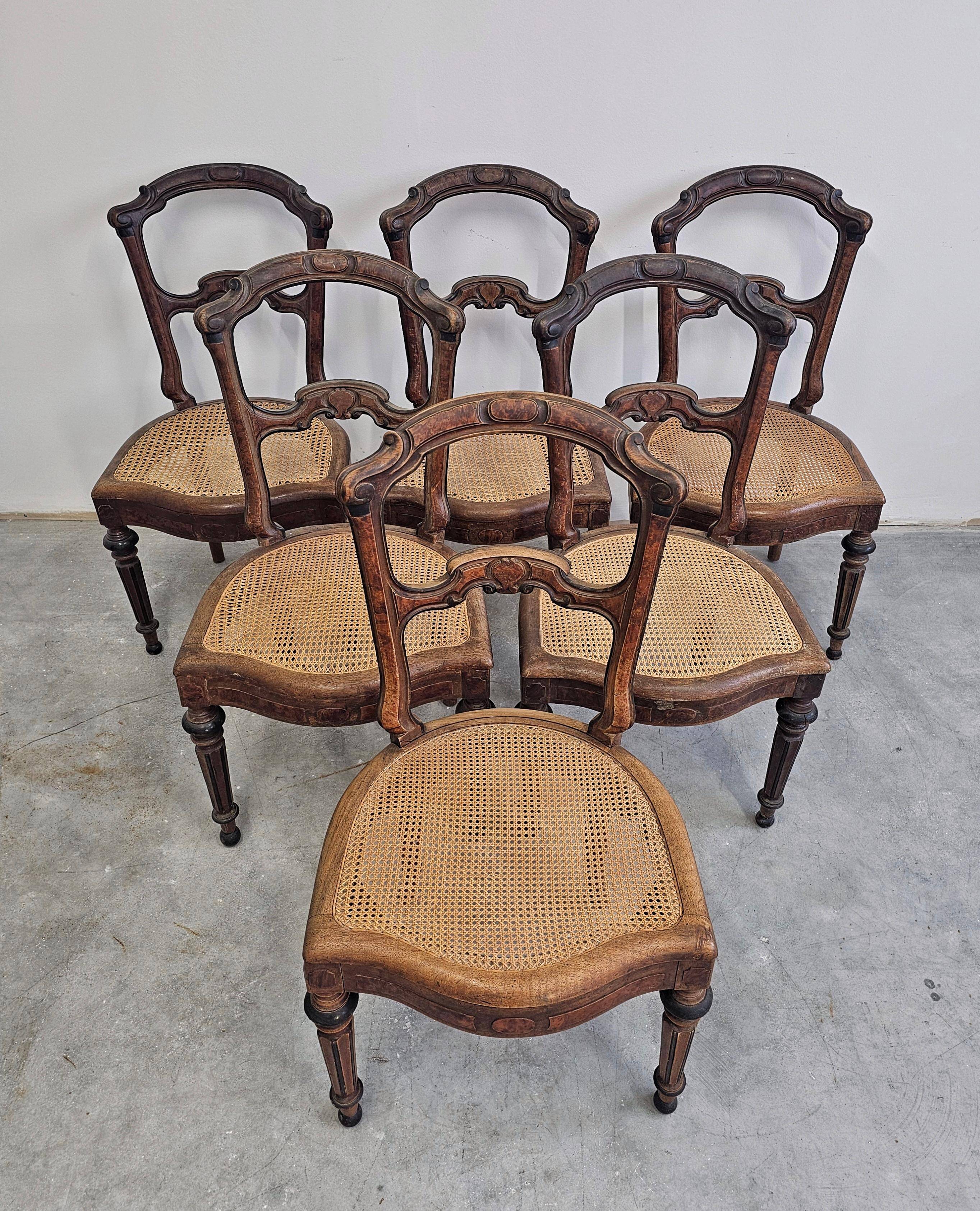 Set of 6 antique dining chairs in solid walnut, cane seats, 19th century.