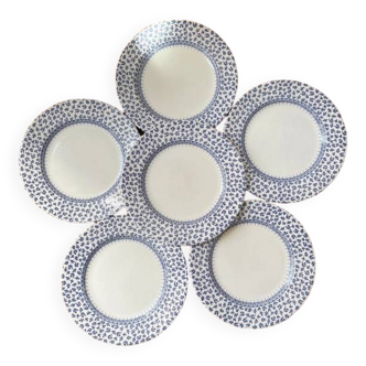 Set of 6 Vintage flowered flat plates