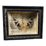 Stuffed bat