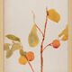 Watercolor illustration flowers