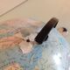 Girard and Barrère terrestrial globe on tripod base / vintage 50s-60s