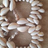 Shell trivet