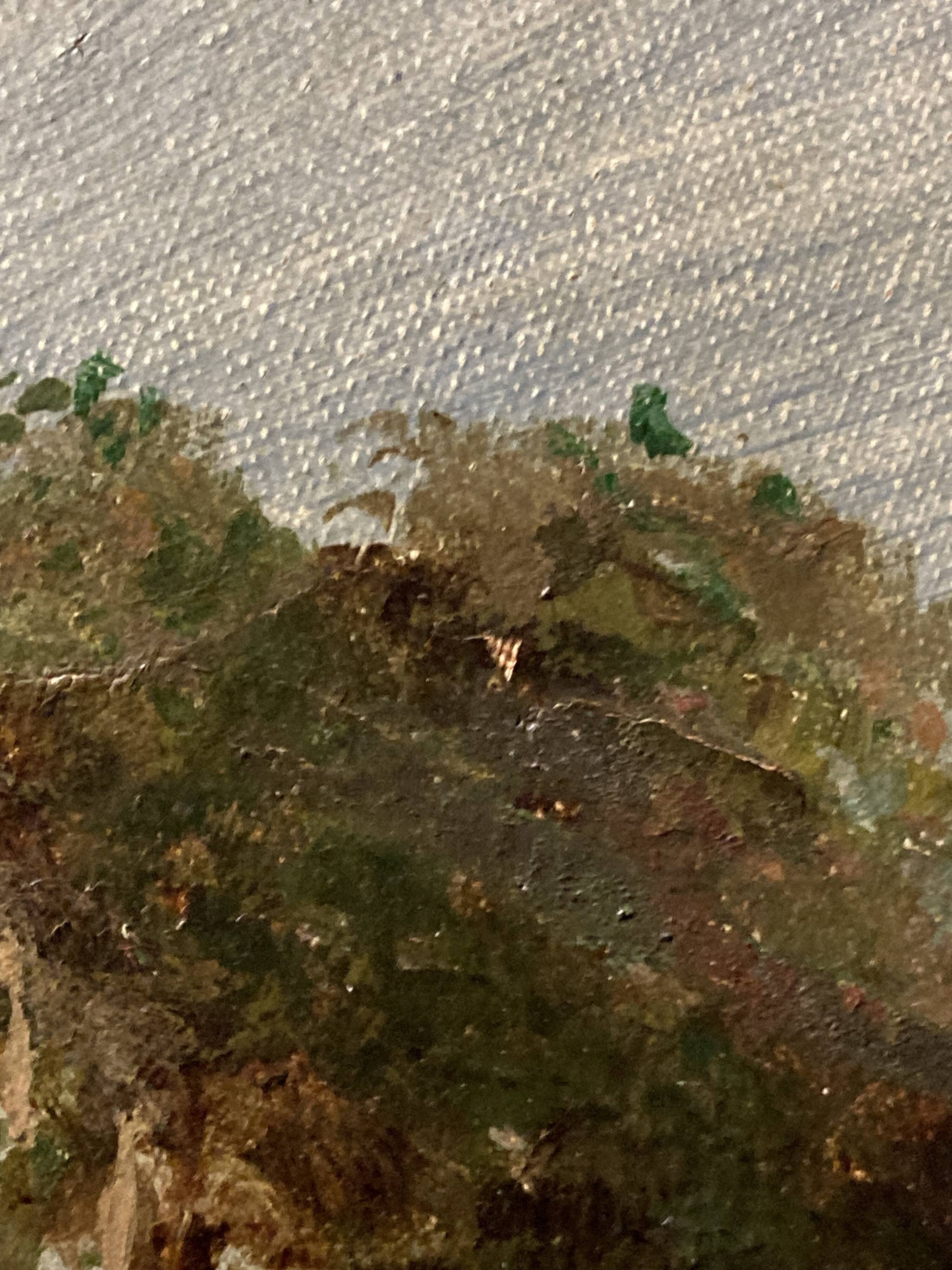 Peter baumgartner (1834-1911), seaside landscape, oil on canvas