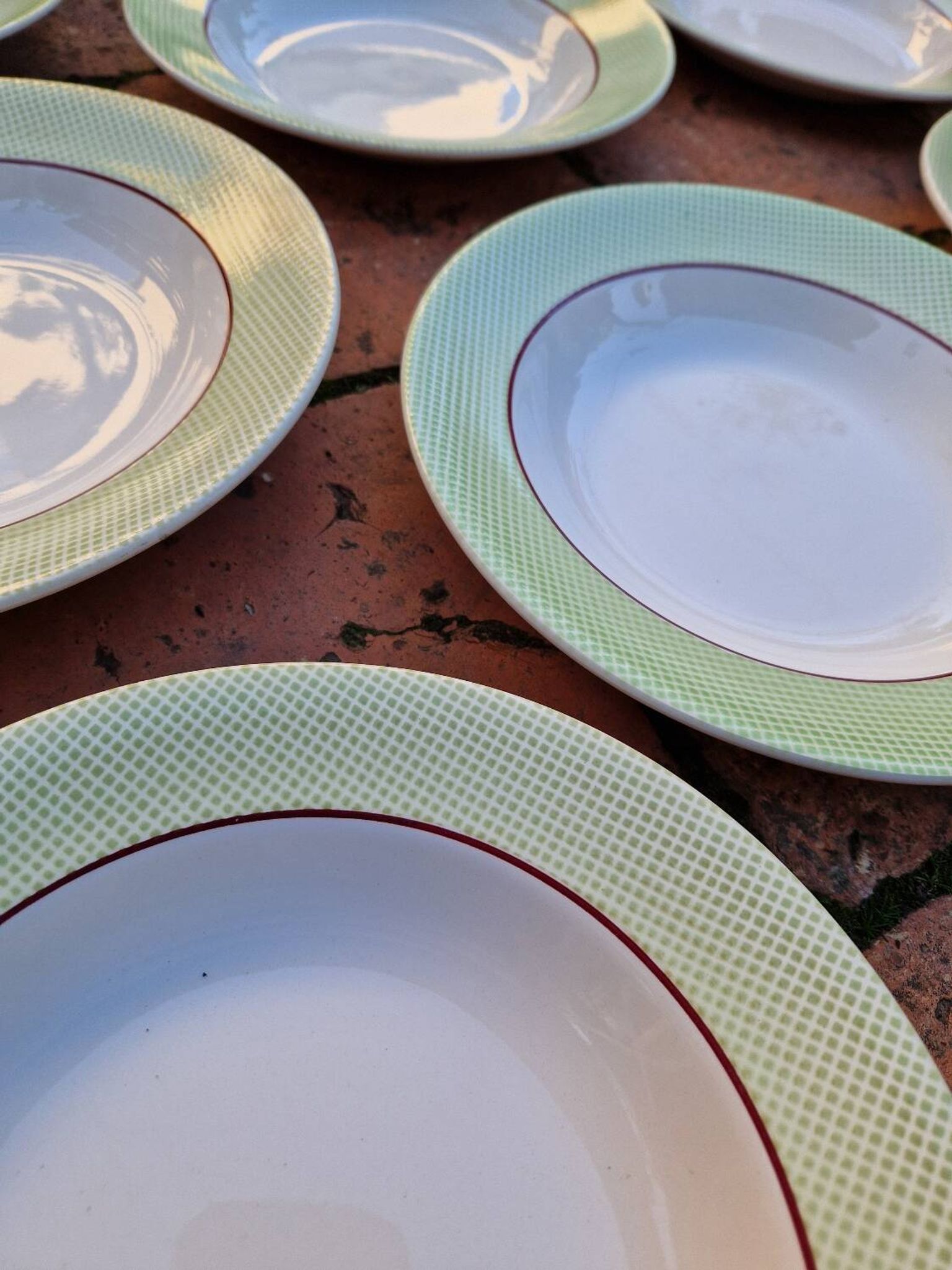 Set of 11 Isoard Pattern Soup Plates, Salins Manufacture
