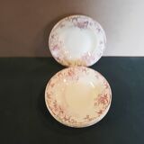 Assiettes creuses terre de fer