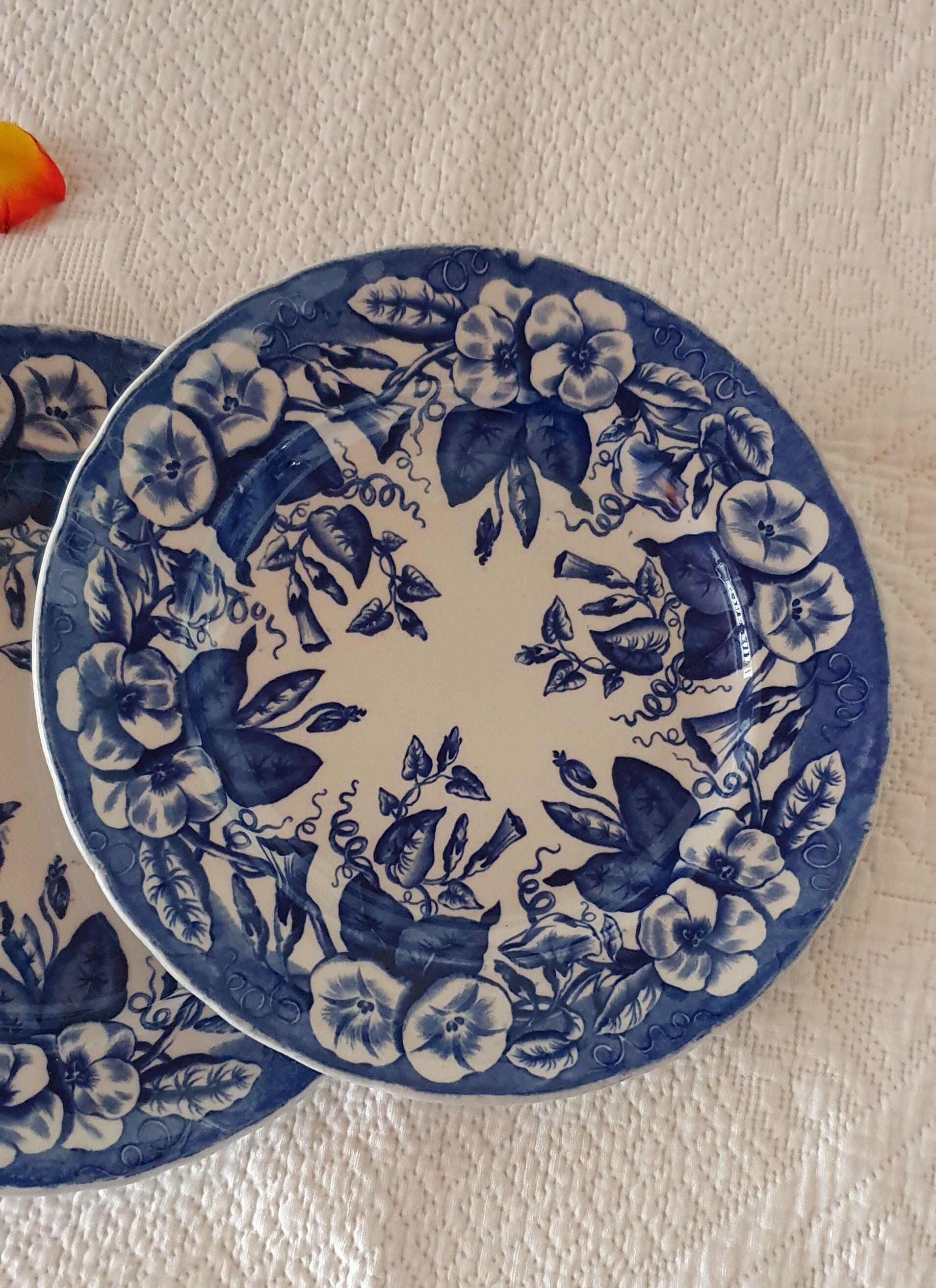Plates Faience Vieillard