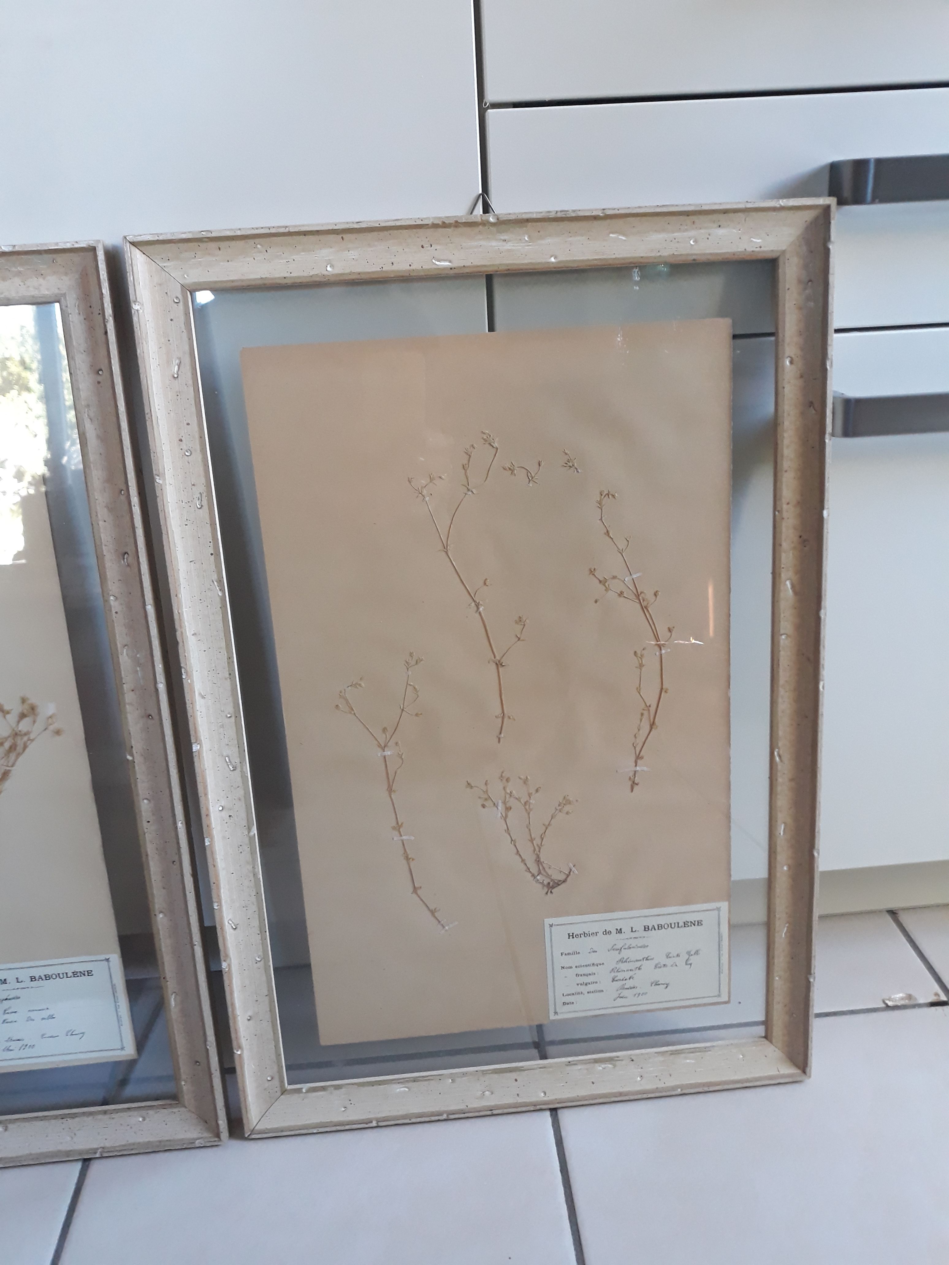 Set of 3 seagrass boxes M L Baboulene dating back to 1900