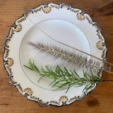 KPM porcelain plate with shell relief decoration