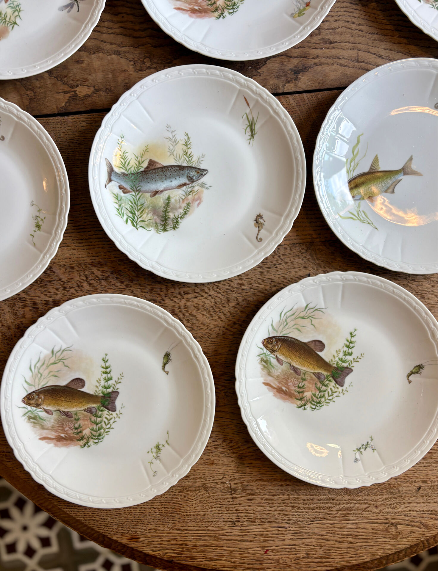 Set of 10 antique flat plates in porcelain, decorated with fish.