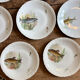 Set of 10 antique flat plates in porcelain, decorated with fish.