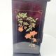 Lacquered jewelry box in chest shape with 4 drawers made in Shanghai
