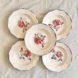 Digouin iron earth soup plates
