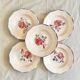 Digouin iron earth soup plates