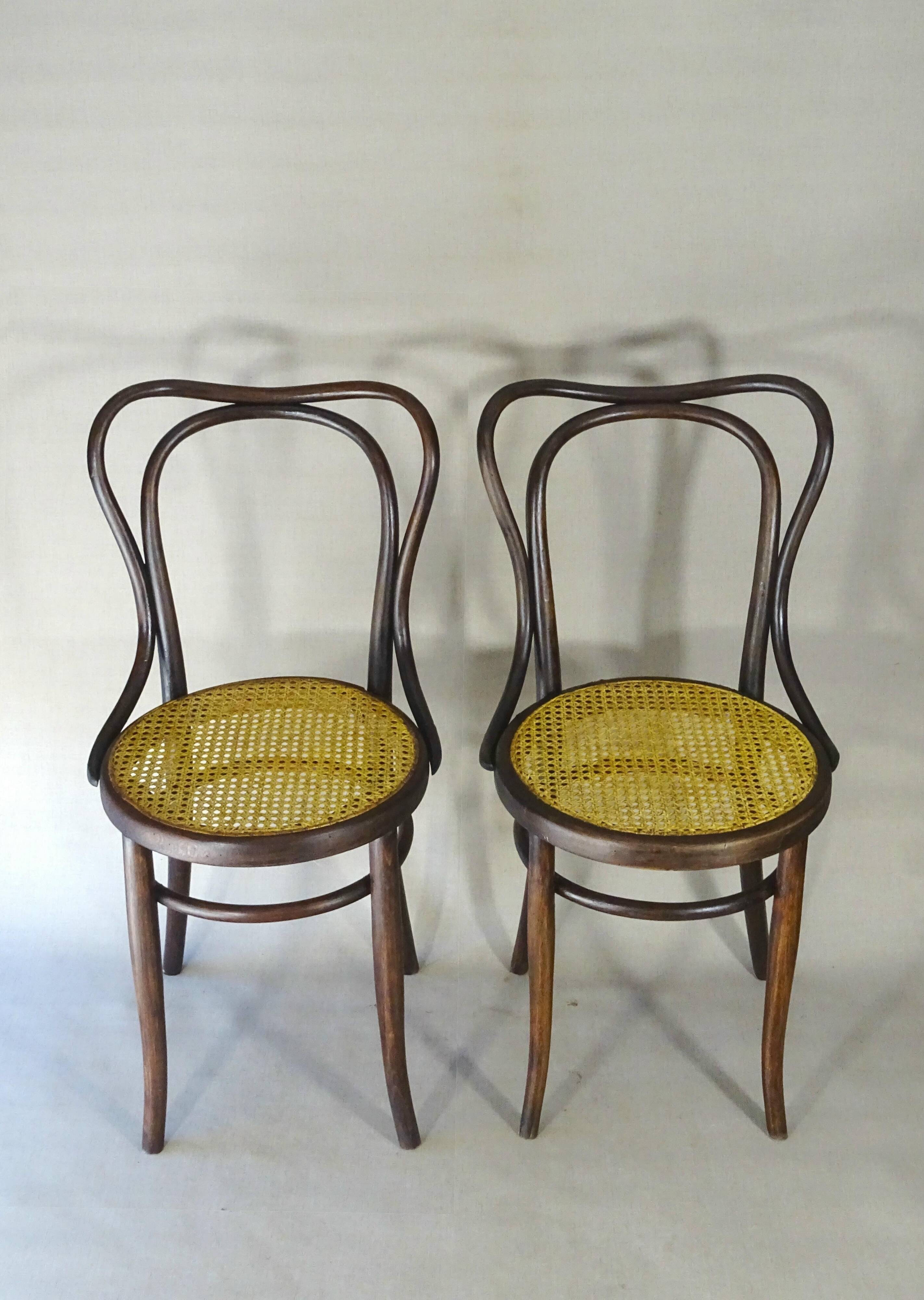 Deux chaises KOHN N°55 de Ca. 1900 cannées, teinte acajou américain.