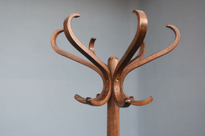 Baumann house parrot coat door