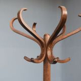 Baumann house parrot coat door