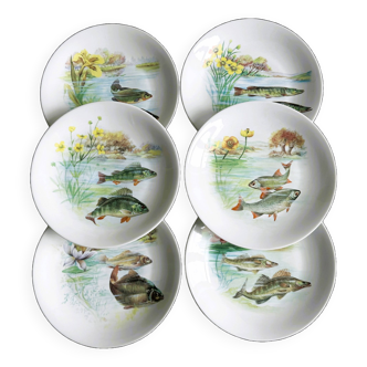 6 Limoges porcelain fish plates.