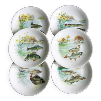 6 assiettes poissons Porcelaine de Limoges.