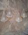 Paire d'appliques murales doubles antiques en verre de Murano