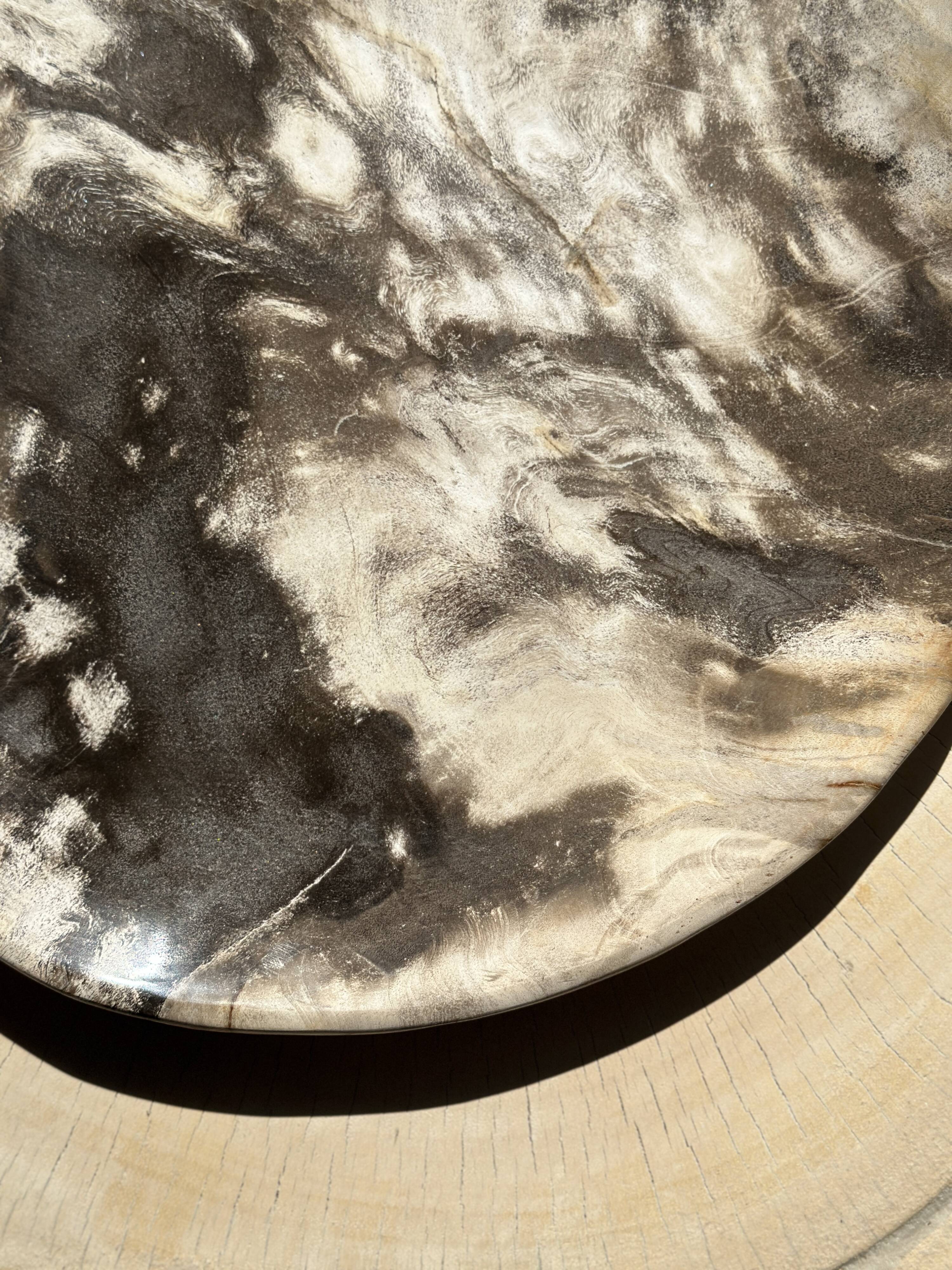 Very large pocket or dish in petrified wood