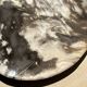 Very large pocket or dish in petrified wood