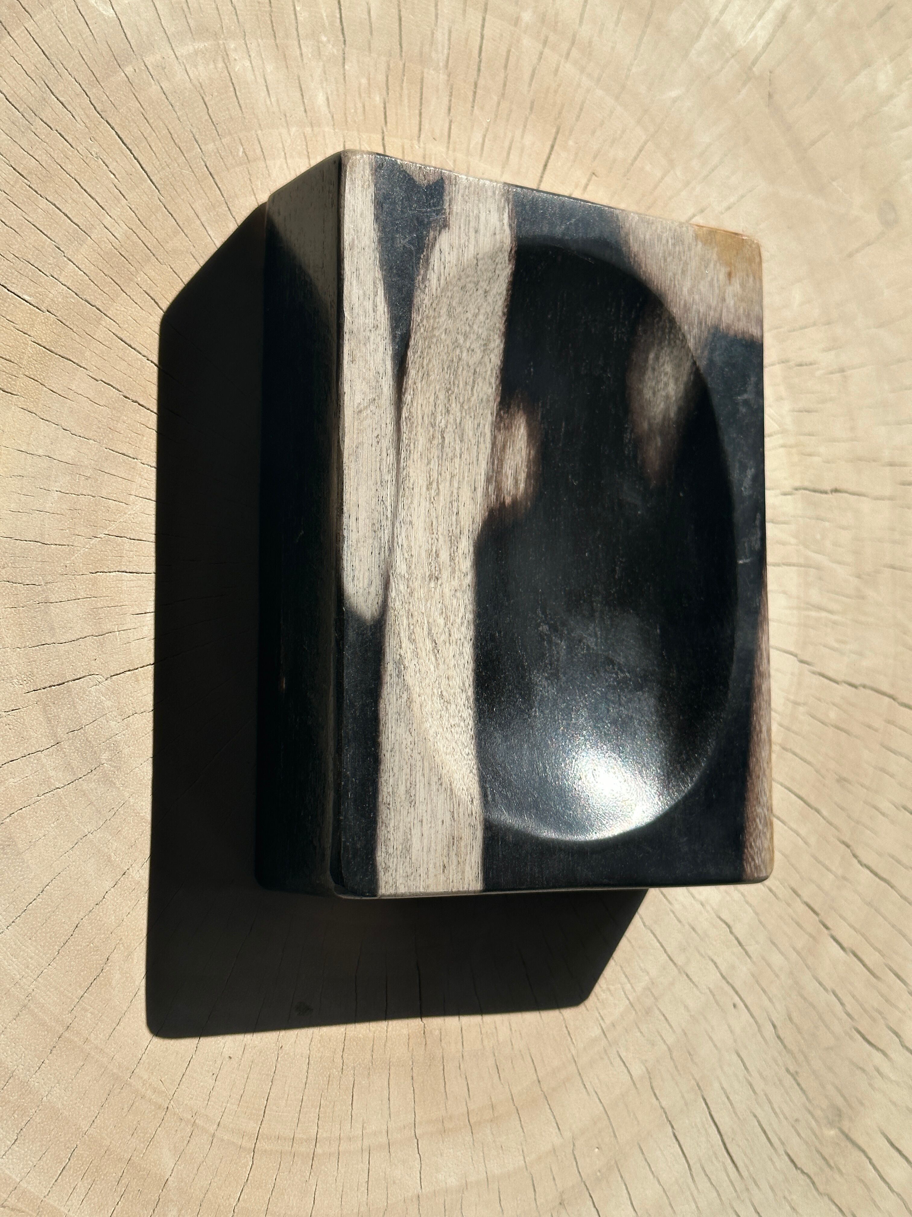Symmetrical multicolored petrified wood soap dish
