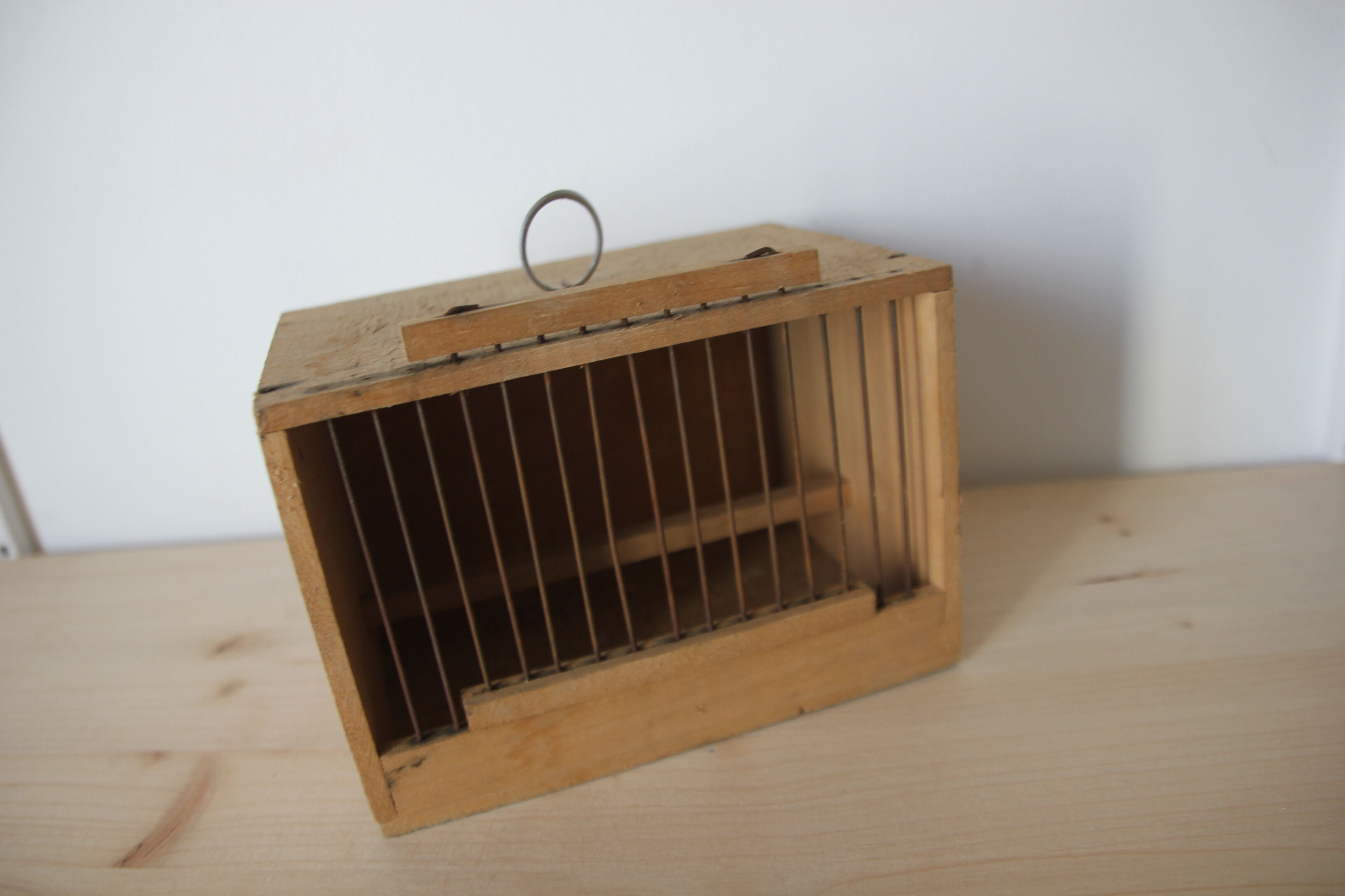 Cage à oiseau