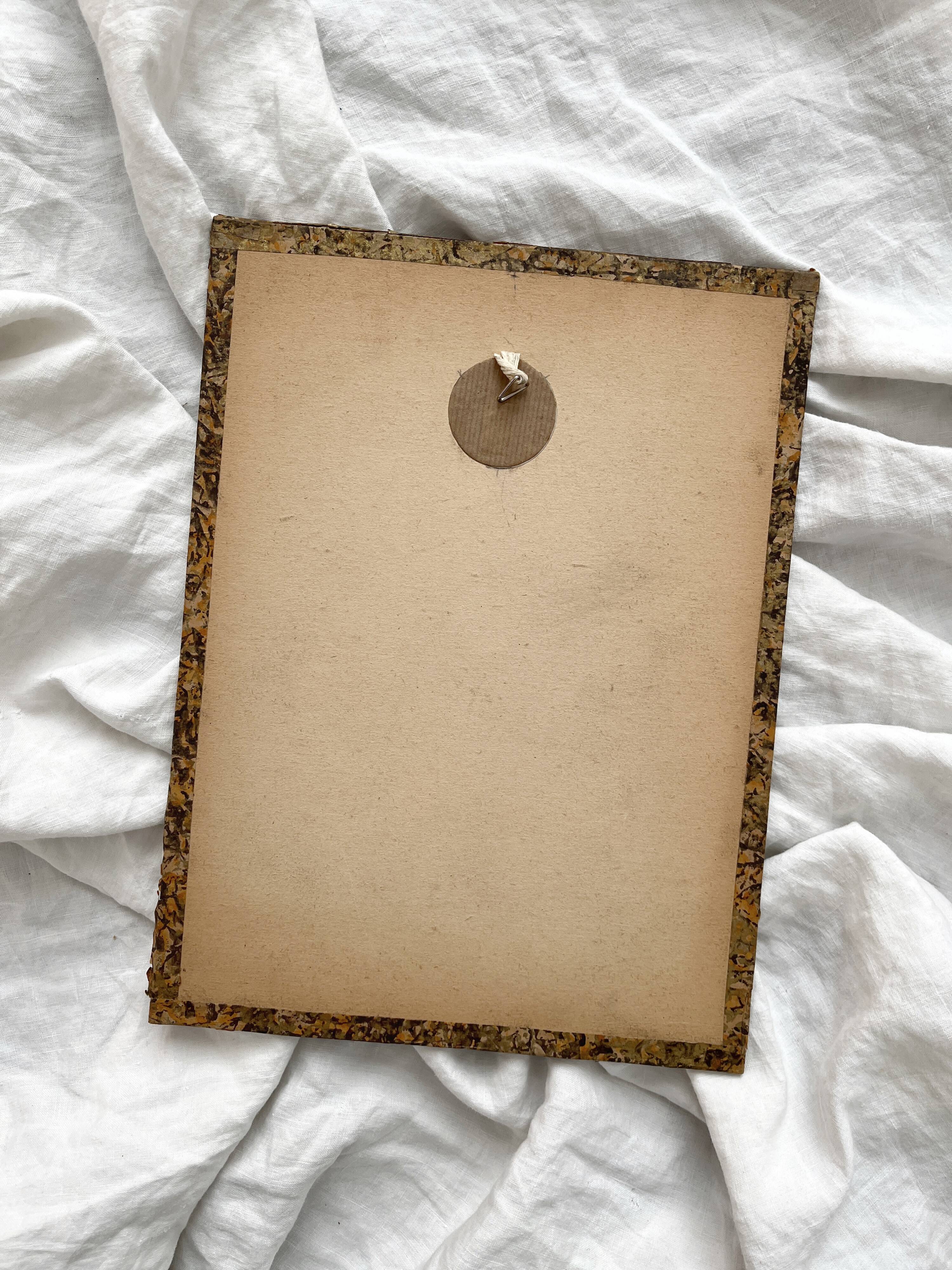 Engraving lithograph old fashion illustration under glass late 19th century