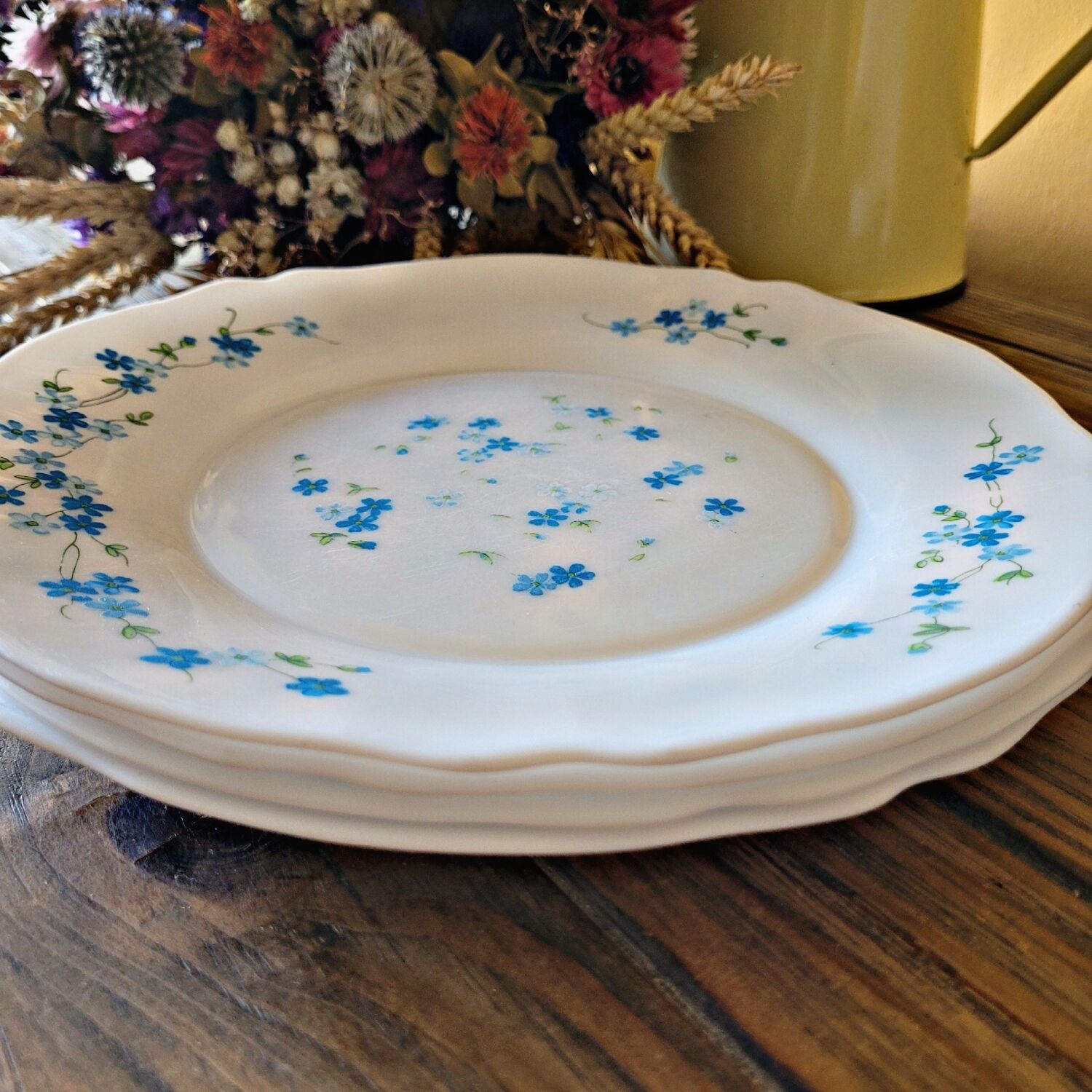 4 flat plates Arcopal Forget-me-not
