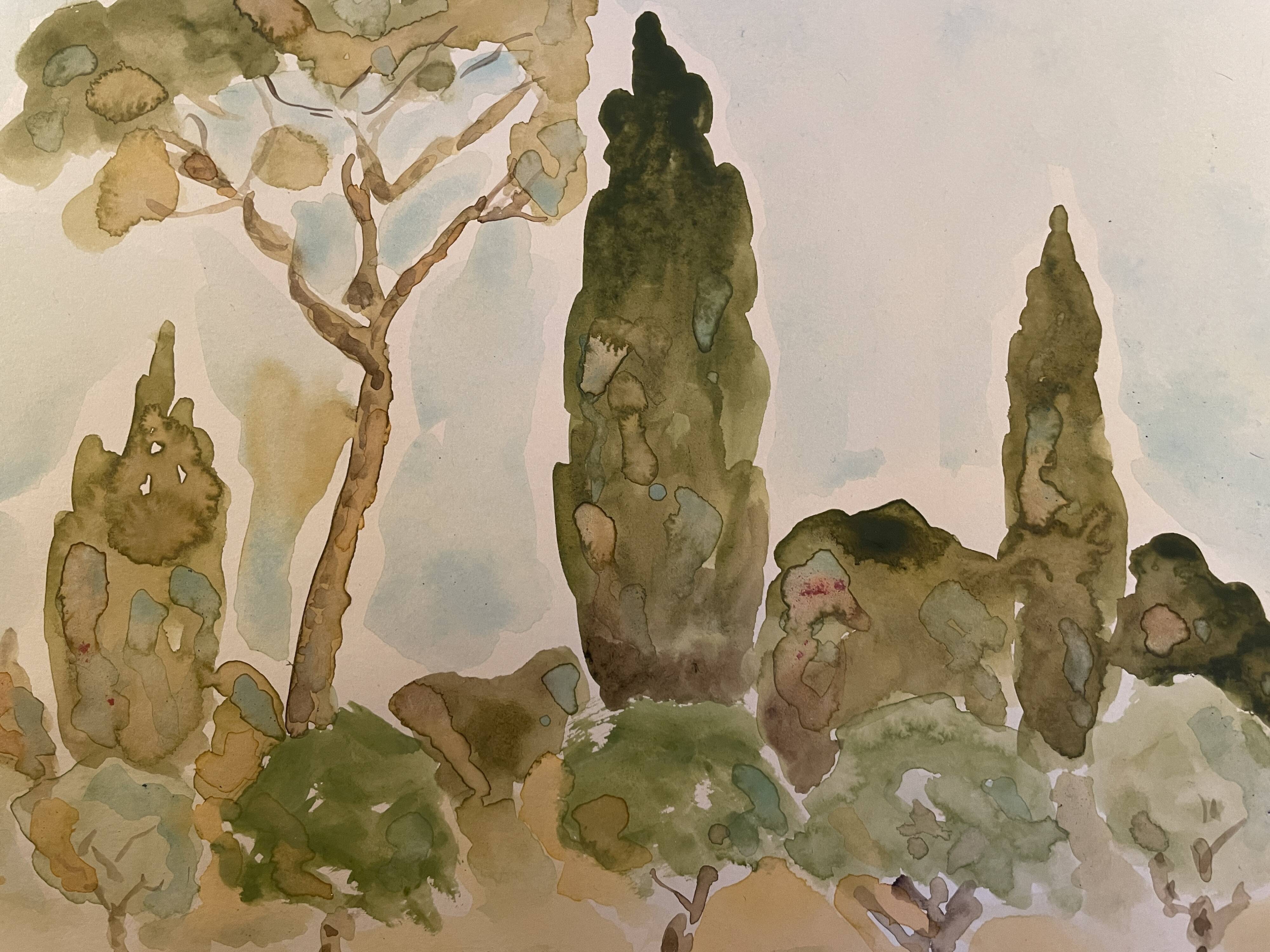 Signed watercolor painting “olive tree field in Provence”